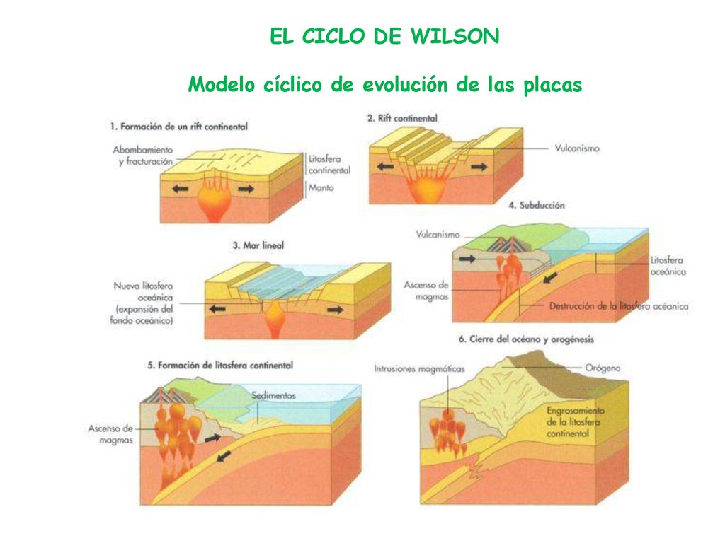 EL CICLO DE WILSON Modelo cíclico de evolución de las placas