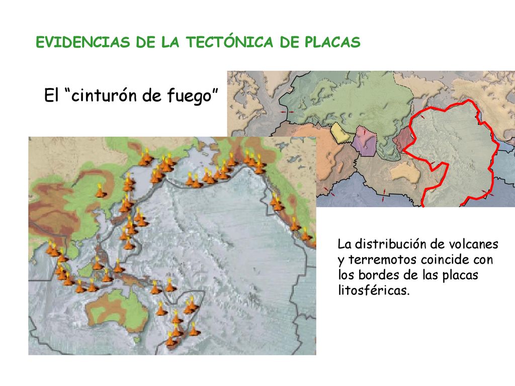 El cinturón de fuego EVIDENCIAS DE LA TECTÓNICA DE PLACAS