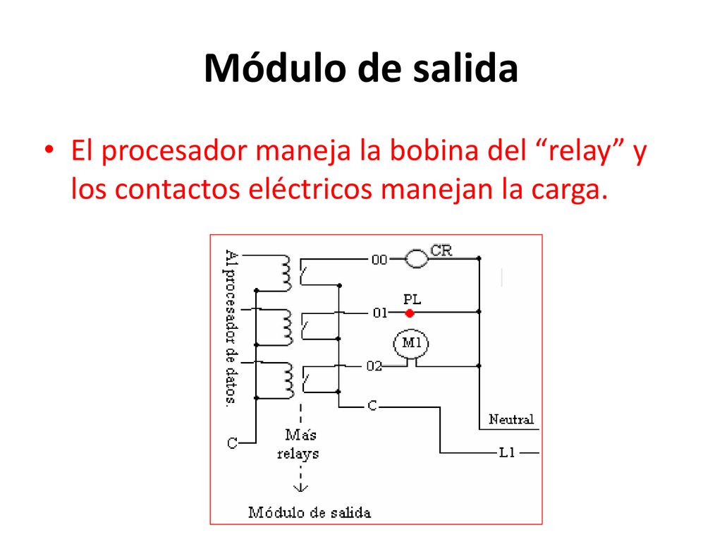 Módulo de salida El procesador maneja la bobina del relay y los contactos eléctricos manejan la carga.