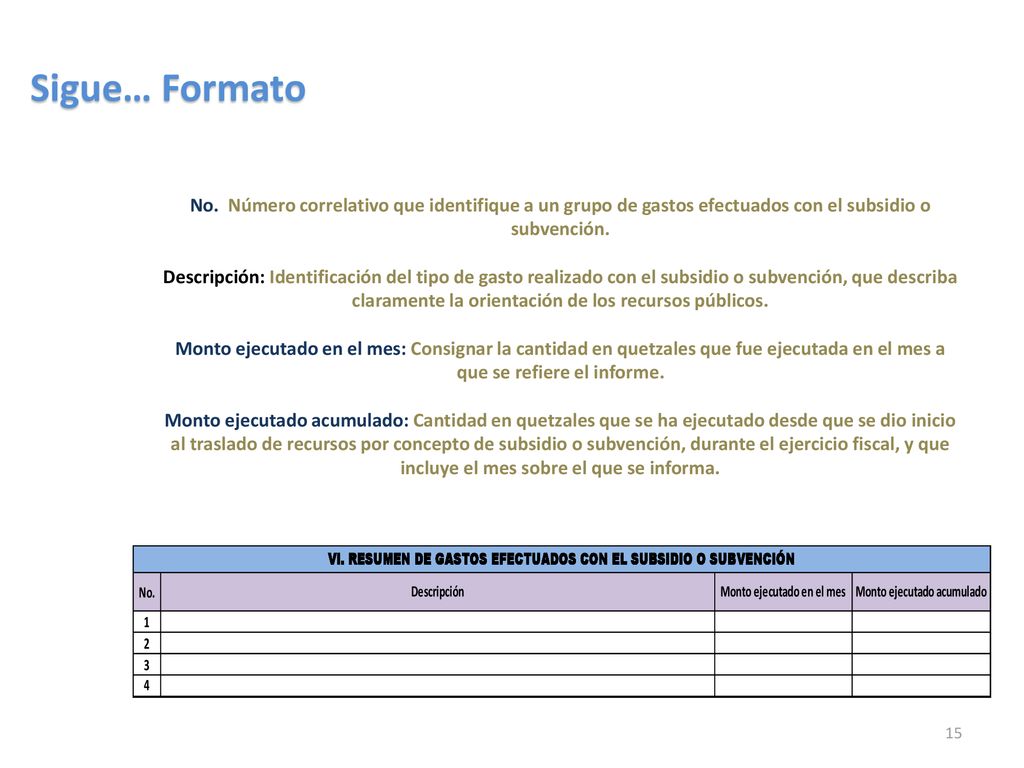 VI. Resumen de gastos efectuados con el subsidio o subvención