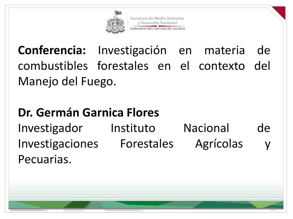 Conferencia: Investigación en materia de combustibles forestales en el contexto del Manejo del Fuego.