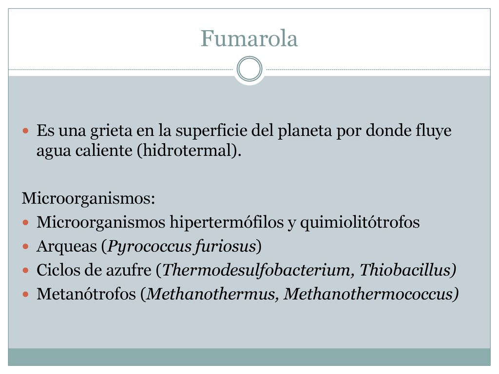 Fumarola Es una grieta en la superficie del planeta por donde fluye agua caliente (hidrotermal). Microorganismos: