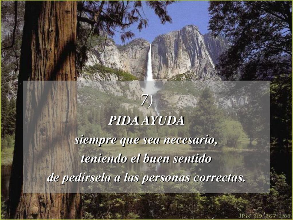 7) PIDA AYUDA siempre que sea necesario, teniendo el buen sentido