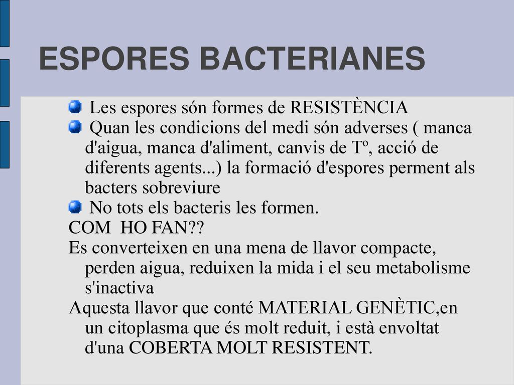 ESPORES BACTERIANES Les espores són formes de RESISTÈNCIA