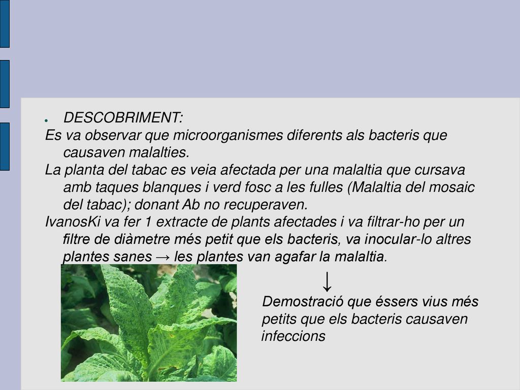 DESCOBRIMENT: Es va observar que microorganismes diferents als bacteris que causaven malalties.