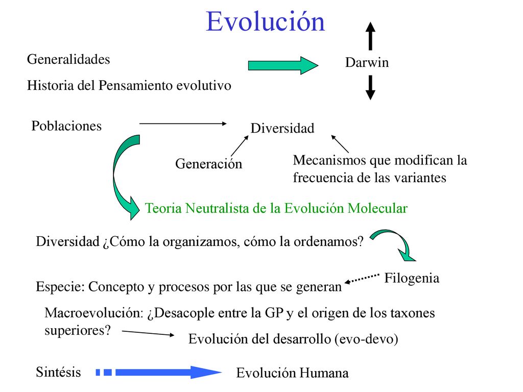 Evolución Generalidades. Historia del Pensamiento evolutivo. Darwin. Poblaciones. Diversidad. Generación.