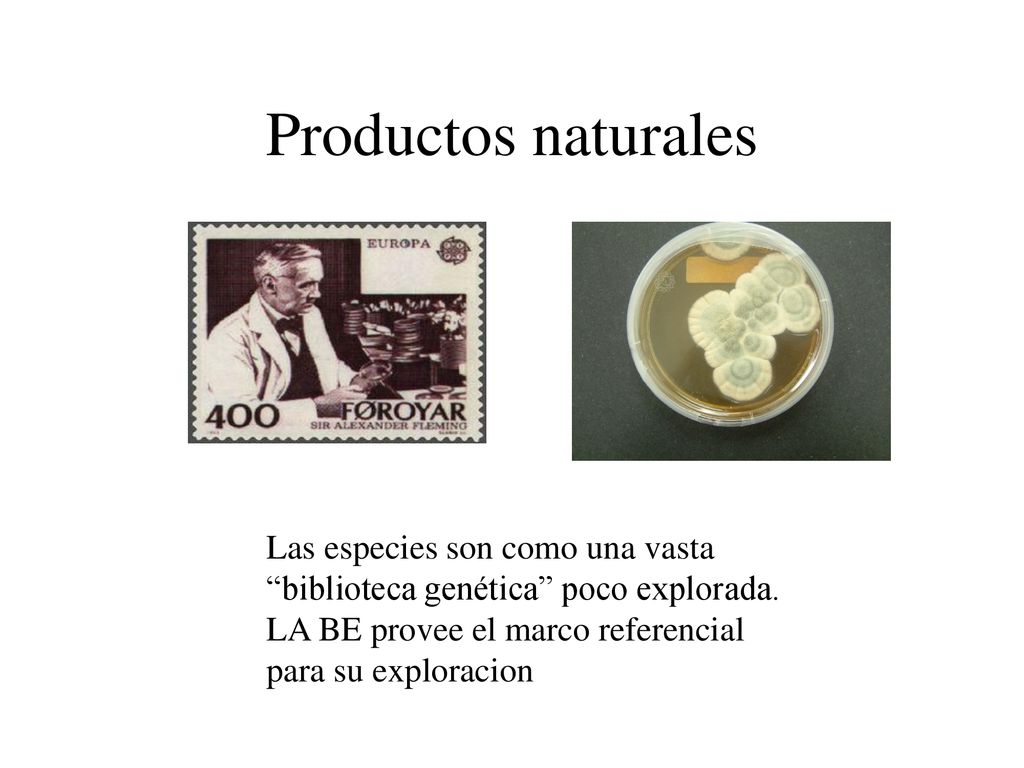 Productos naturales Las especies son como una vasta biblioteca genética poco explorada.