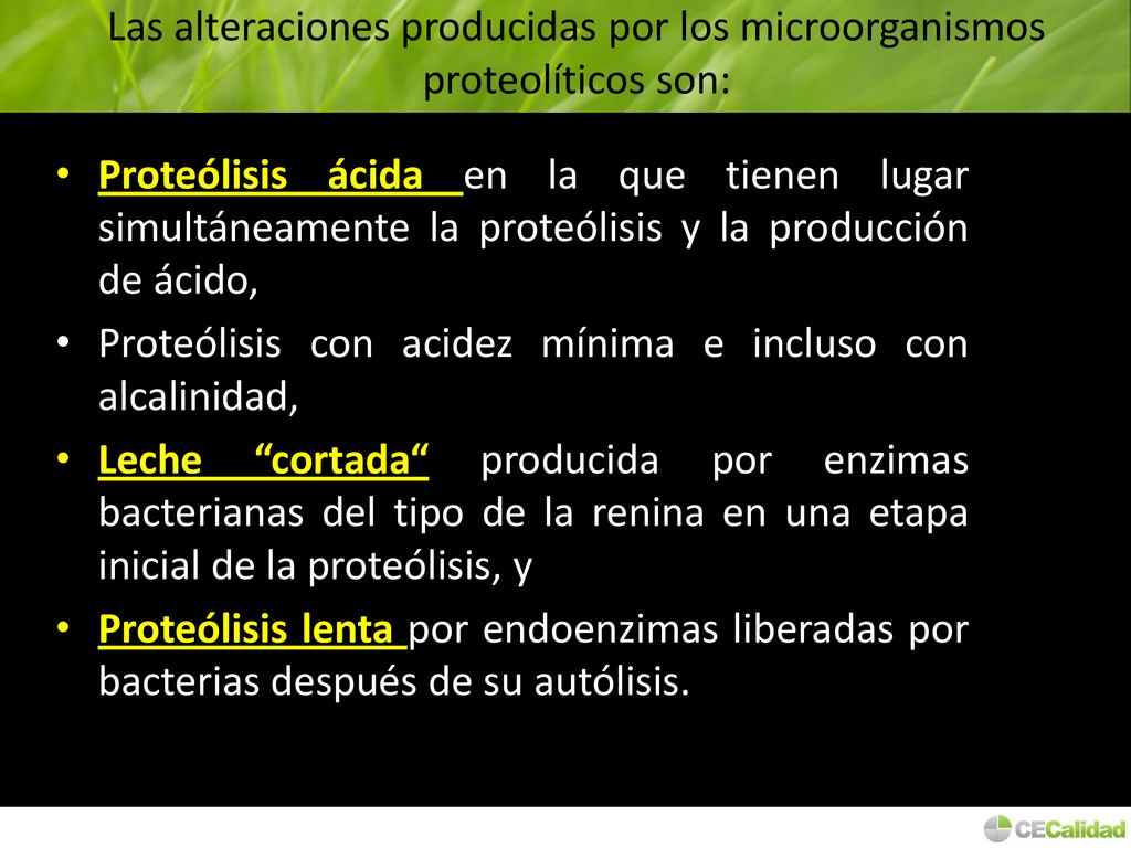 Las alteraciones producidas por los microorganismos proteolíticos son: