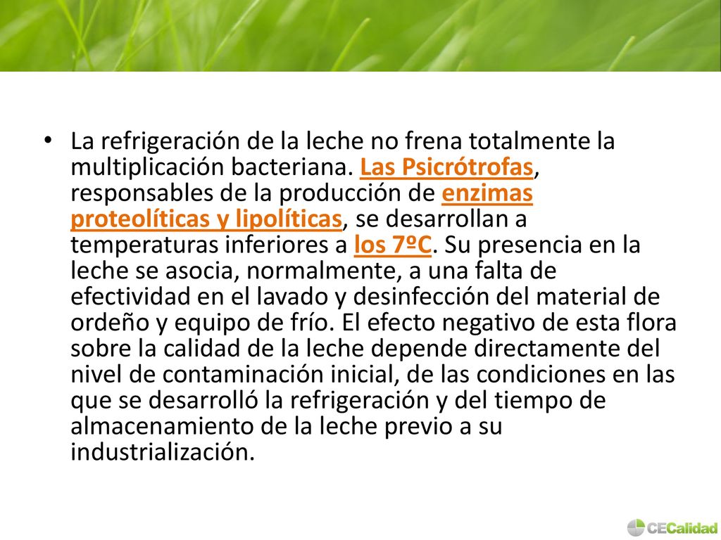 La refrigeración de la leche no frena totalmente la multiplicación bacteriana.