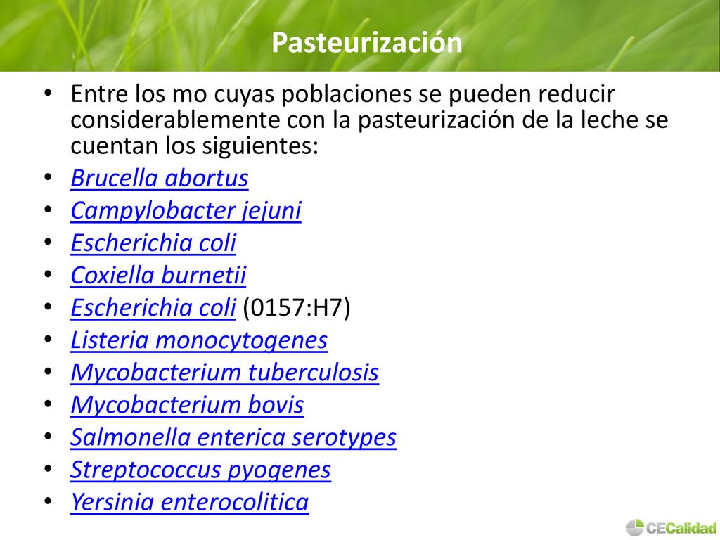 Pasteurización Entre los mo cuyas poblaciones se pueden reducir considerablemente con la pasteurización de la leche se cuentan los siguientes: