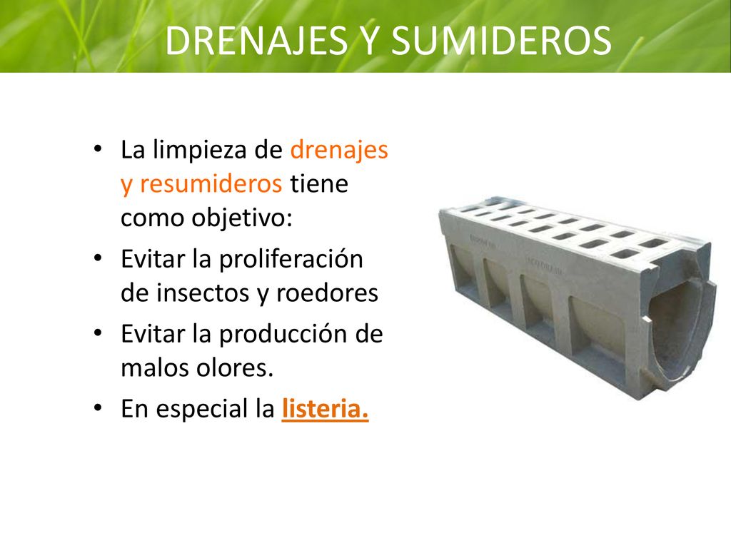 DRENAJES Y SUMIDEROS La limpieza de drenajes y resumideros tiene como objetivo: Evitar la proliferación de insectos y roedores.