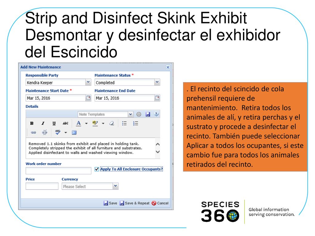 Strip and Disinfect Skink Exhibit Desmontar y desinfectar el exhibidor del Escincido