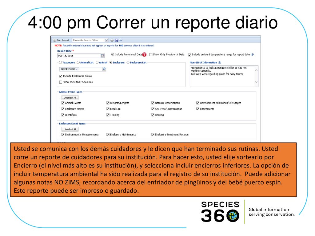 4:00 pm Correr un reporte diario