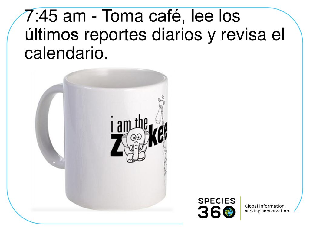 7:45 am - Toma café, lee los últimos reportes diarios y revisa el calendario.