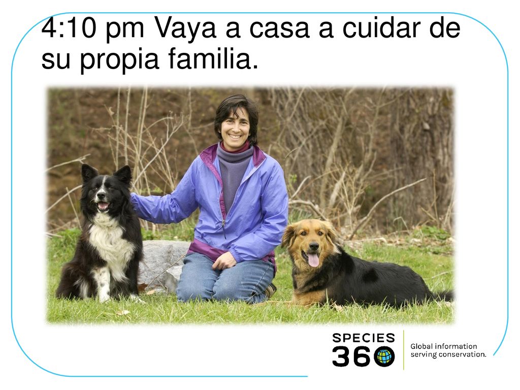 4:10 pm Vaya a casa a cuidar de su propia familia.