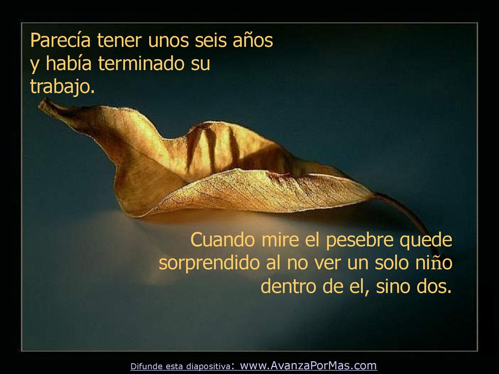 Parecía tener unos seis años y había terminado su trabajo.