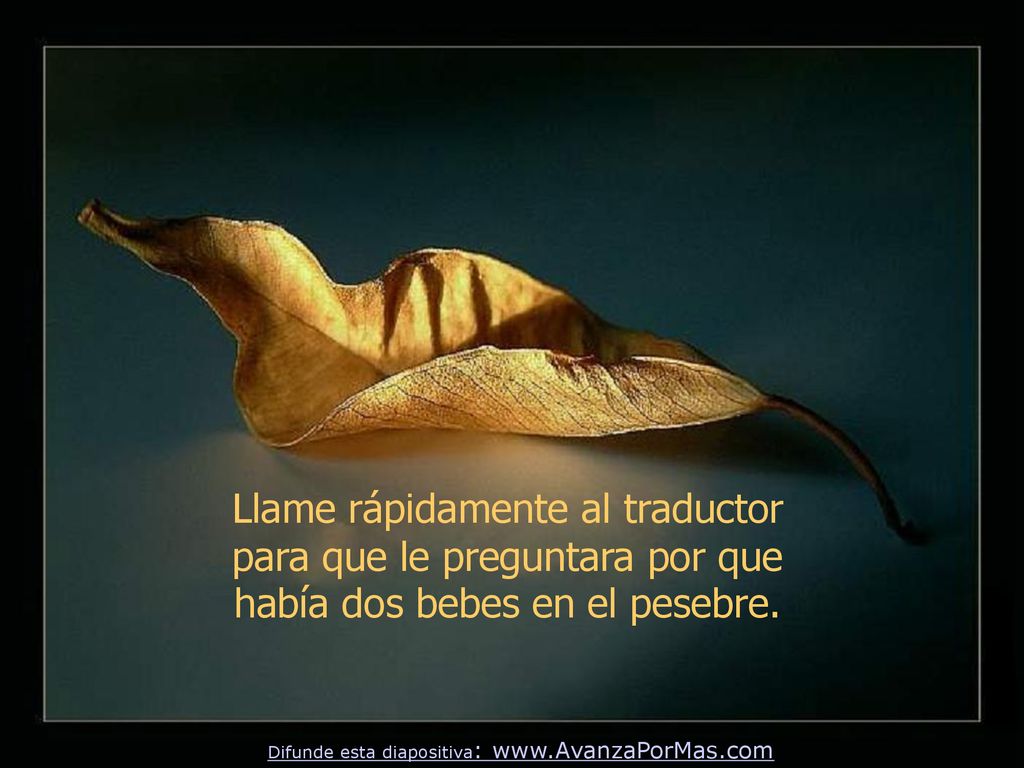 Llame rápidamente al traductor para que le preguntara por que había dos bebes en el pesebre.