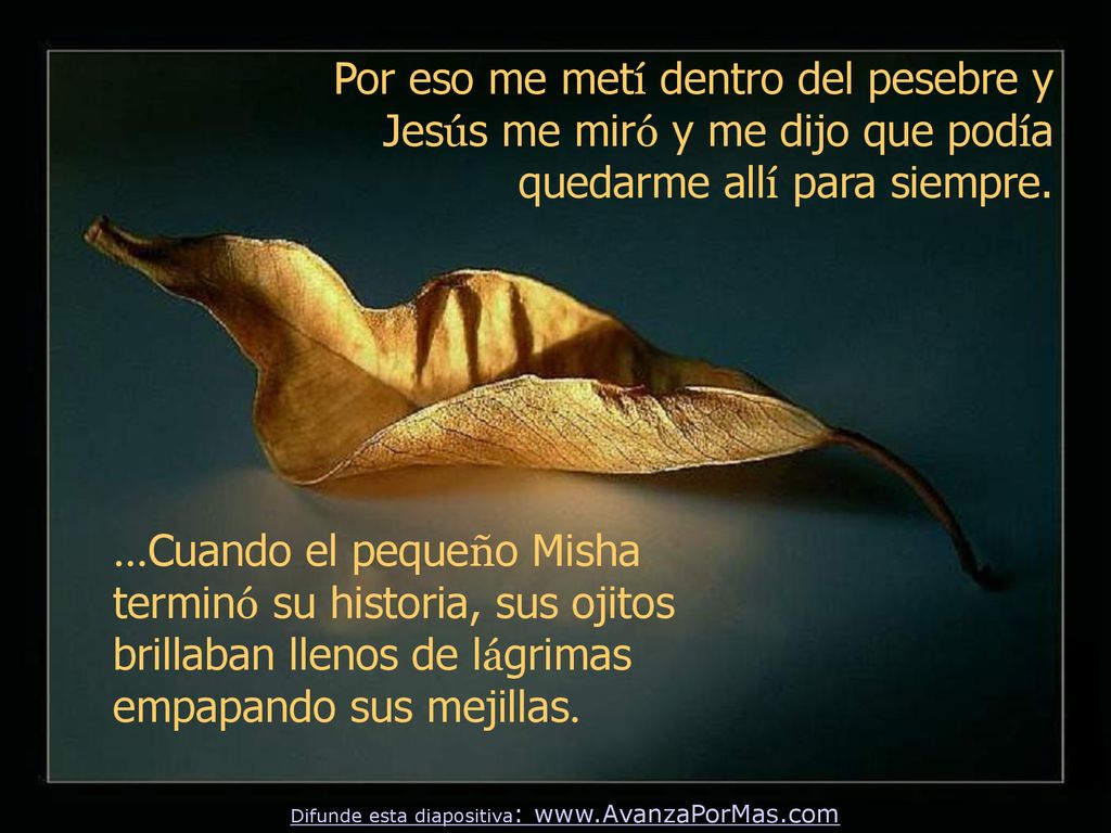 Por eso me metí dentro del pesebre y Jesús me miró y me dijo que podía quedarme allí para siempre.