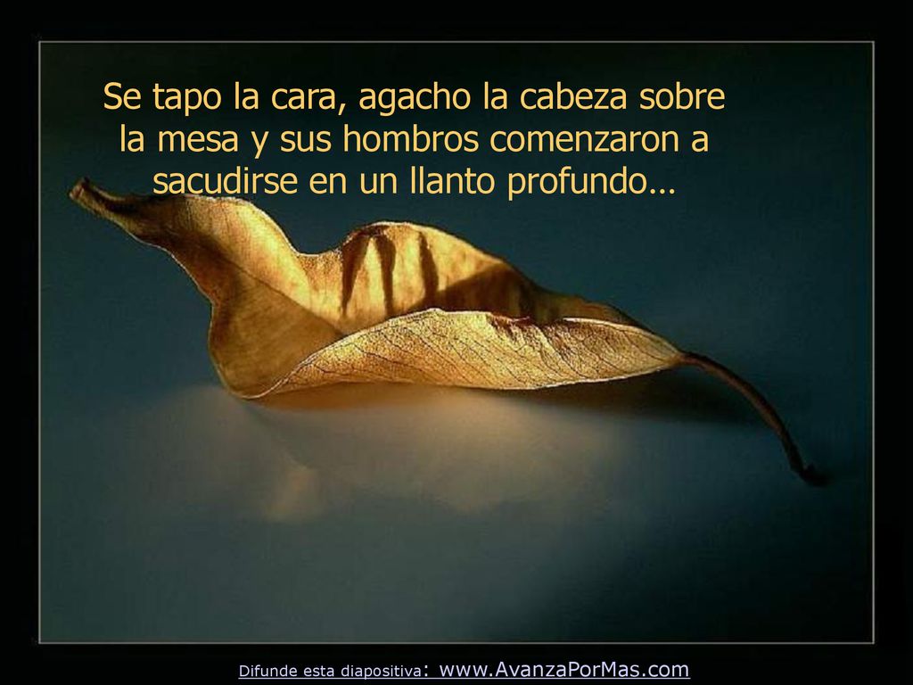 Se tapo la cara, agacho la cabeza sobre la mesa y sus hombros comenzaron a sacudirse en un llanto profundo…
