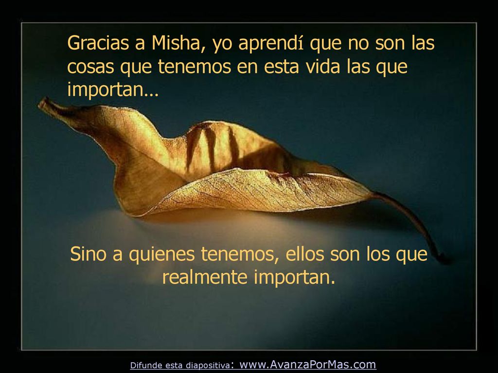 Sino a quienes tenemos, ellos son los que realmente importan.