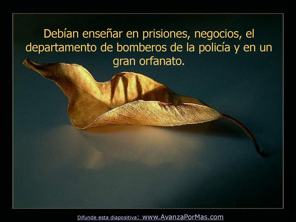 Debían enseñar en prisiones, negocios, el departamento de bomberos de la policía y en un gran orfanato.