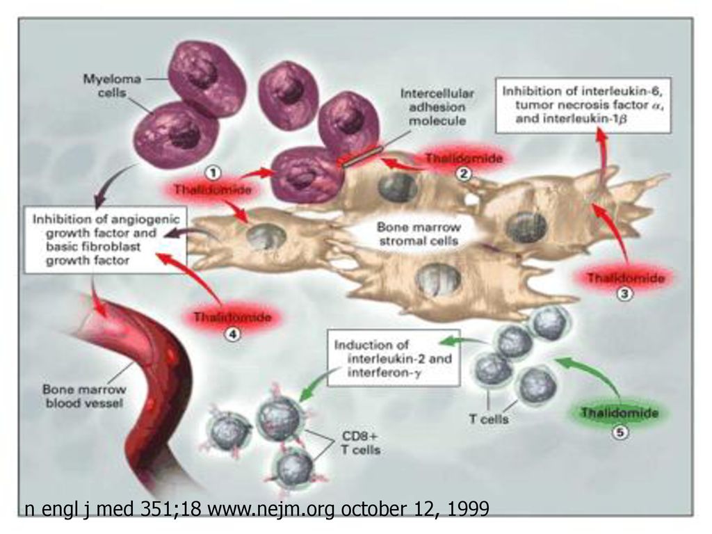 n engl j med 351;18   october 12, 1999