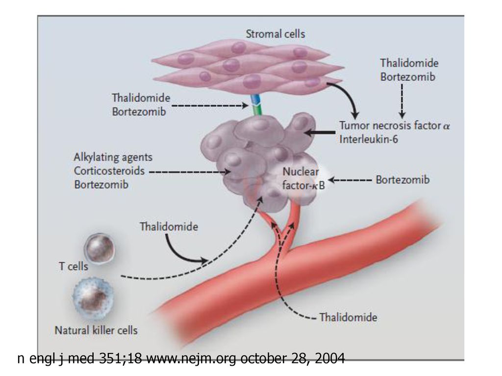 n engl j med 351;18   october 28, 2004