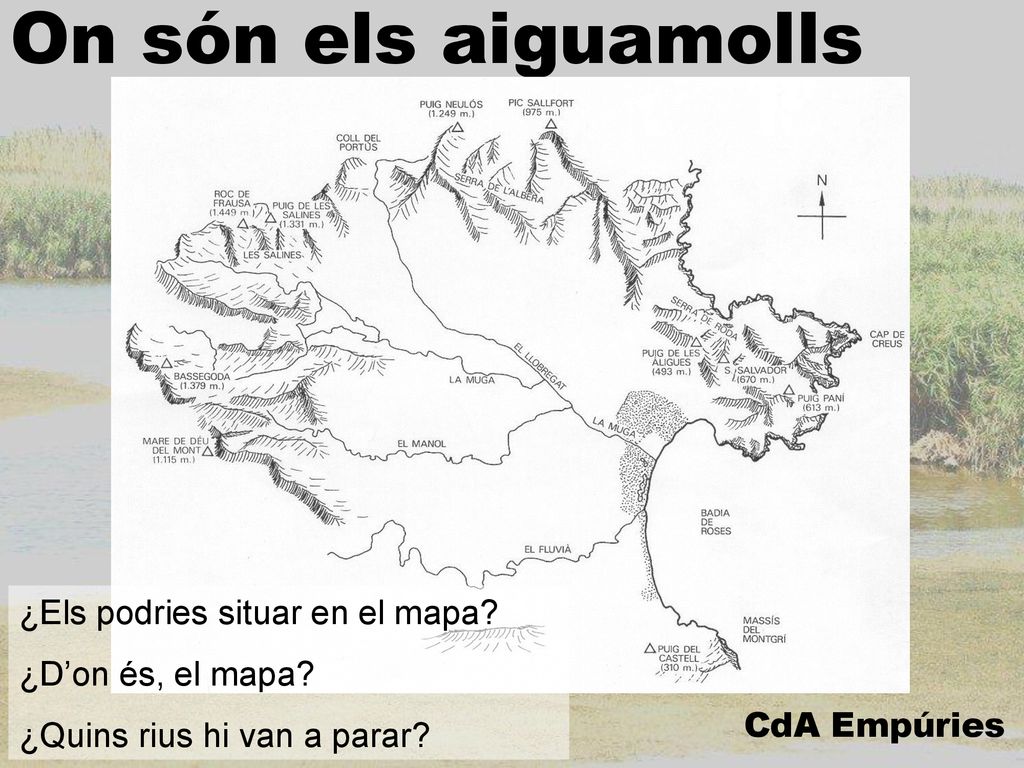 On són els aiguamolls ¿Els podries situar en el mapa