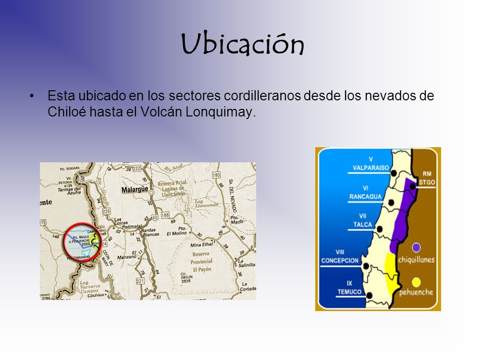 Ubicación Esta ubicado en los sectores cordilleranos desde los nevados de Chiloé hasta el Volcán Lonquimay.
