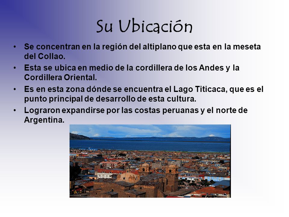 Su Ubicación Se concentran en la región del altiplano que esta en la meseta del Collao.