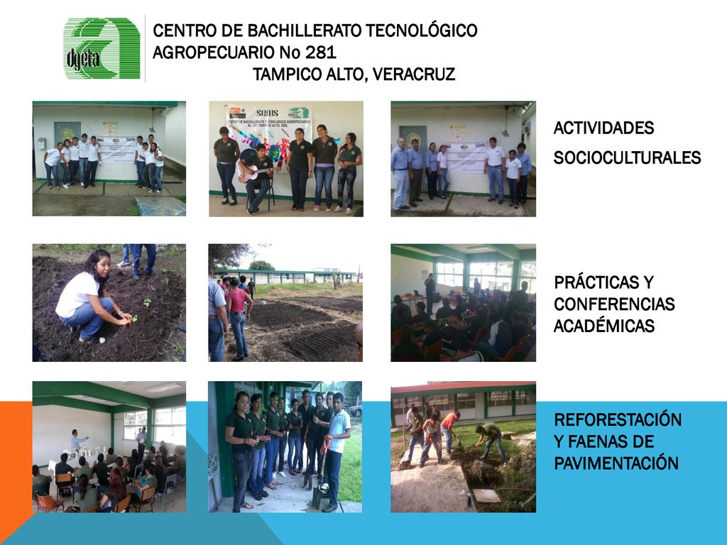 Centro de bachillerato tecnológico agropecuario no 281 Tampico alto, veracruz