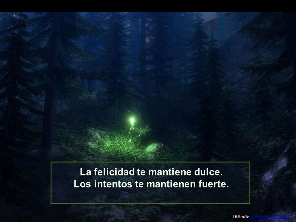 La felicidad te mantiene dulce. Los intentos te mantienen fuerte.