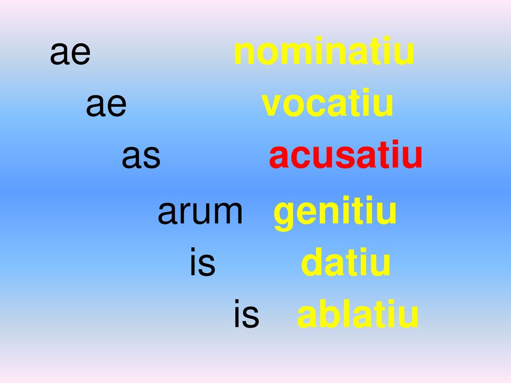 ae nominatiu ae vocatiu as acusatiu arum genitiu is datiu is ablatiu