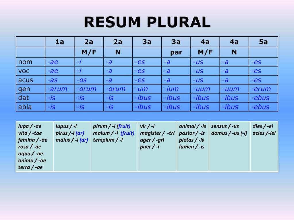 RESUM PLURAL 1a 2a 3a 4a 5a M/F N par nom -ae -i -a -es -us voc acus