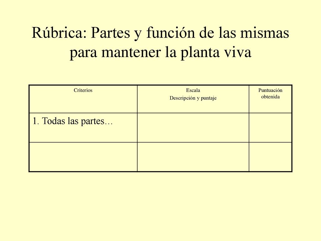 Rúbrica: Partes y función de las mismas para mantener la planta viva