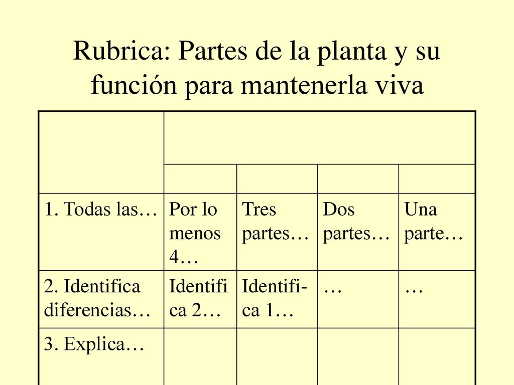 Rubrica: Partes de la planta y su función para mantenerla viva