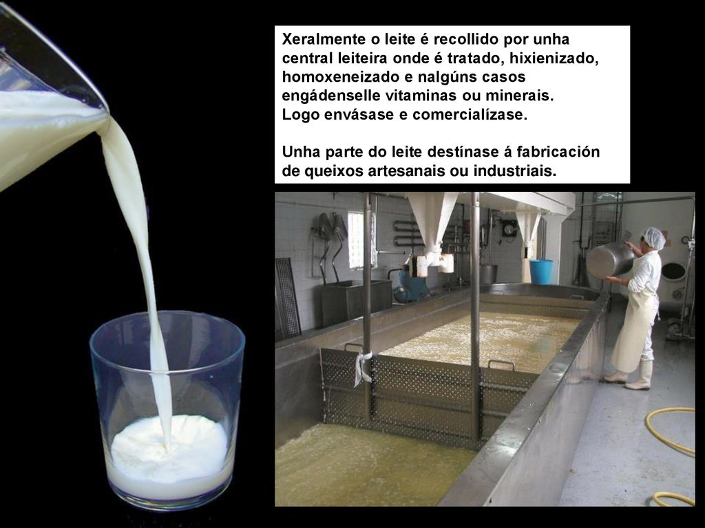 Xeralmente o leite é recollido por unha central leiteira onde é tratado, hixienizado, homoxeneizado e nalgúns casos engádenselle vitaminas ou minerais.