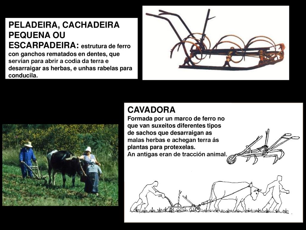 PELADEIRA, CACHADEIRA PEQUENA OU ESCARPADEIRA: estrutura de ferro con ganchos rematados en dentes, que servían para abrir a codia da terra e desarraigar as herbas, e unhas rabelas para conducila.