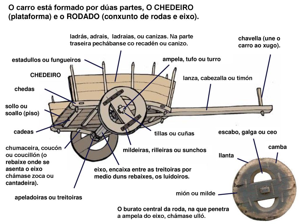 O carro está formado por dúas partes, O CHEDEIRO (plataforma) e o RODADO (conxunto de rodas e eixo).