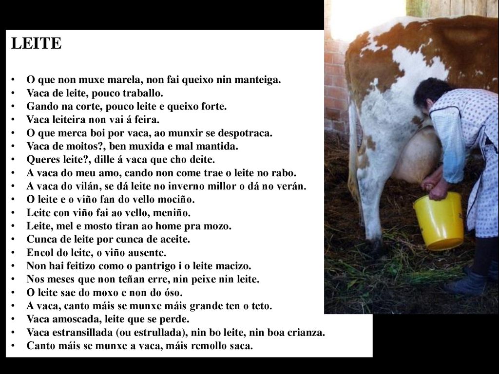LEITE O que non muxe marela, non fai queixo nin manteiga.