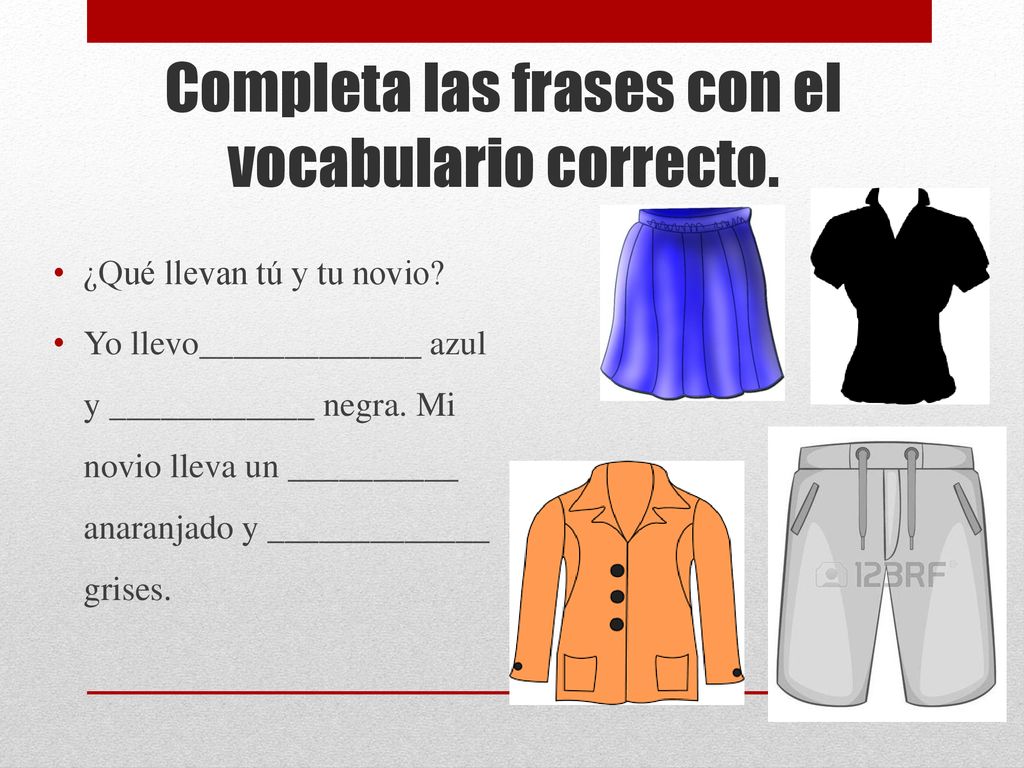 Completa las frases con el vocabulario correcto.