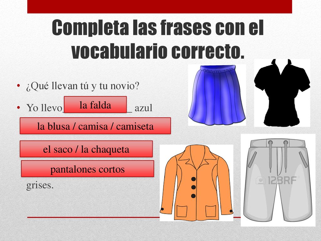 Completa las frases con el vocabulario correcto.