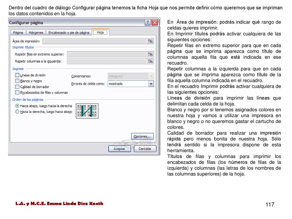 Dentro del cuadro de diálogo Configurar página tenemos la ficha Hoja que nos permite definir cómo queremos que se impriman los datos contenidos en la hoja.