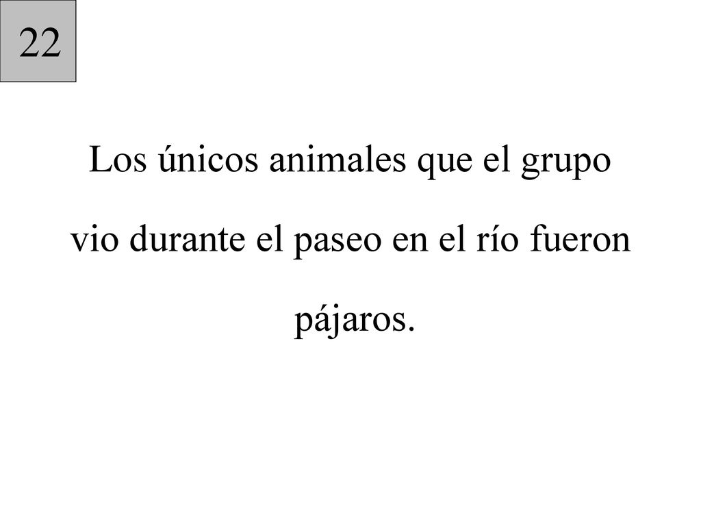 22 Los únicos animales que el grupo vio durante el paseo en el río fueron pájaros.