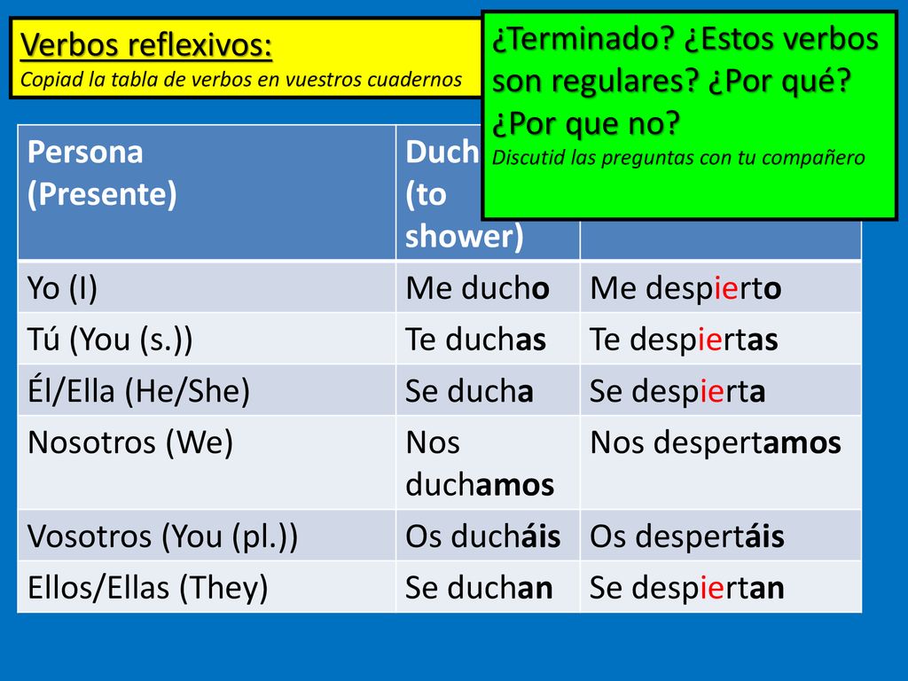 ¿Terminado ¿Estos verbos son regulares ¿Por qué ¿Por que no