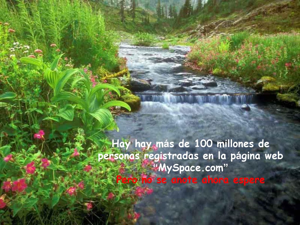 Hay hay más de 100 millones de personas registradas en la página web MySpace.com Pero no se anote ahora espere