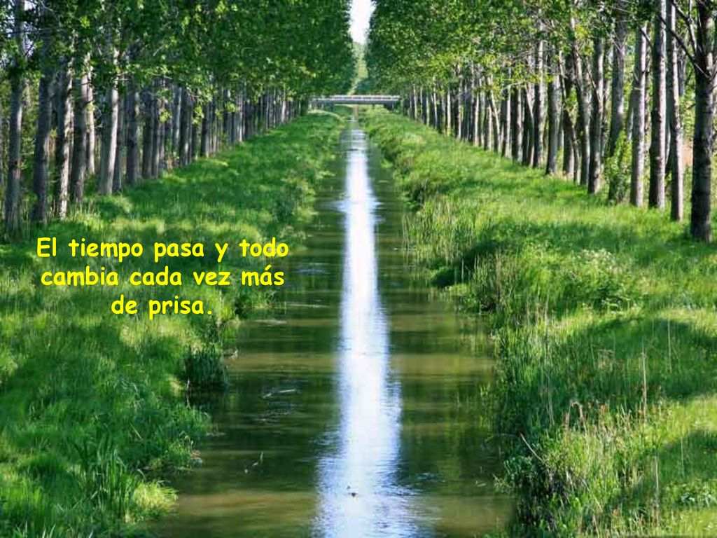 El tiempo pasa y todo cambia cada vez más de prisa.