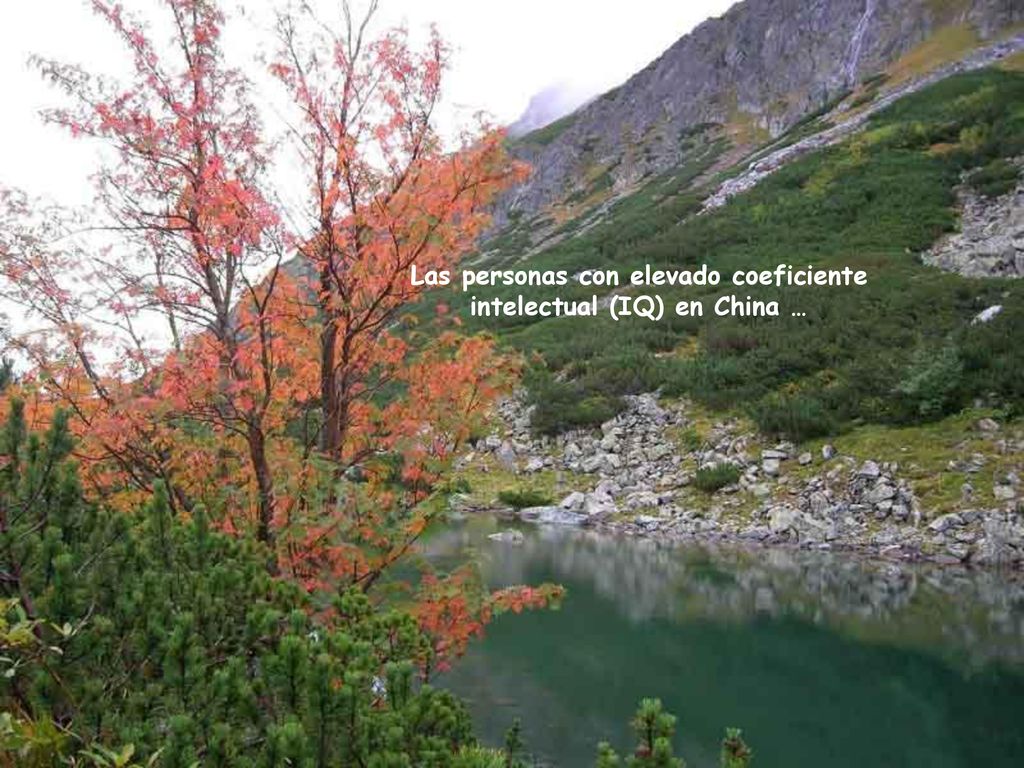Las personas con elevado coeficiente intelectual (IQ) en China …