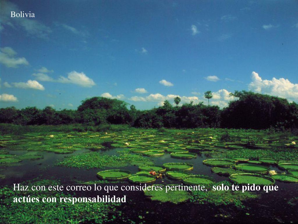 Bolivia Haz con este correo lo que consideres pertinente, solo te pido que actúes con responsabilidad.