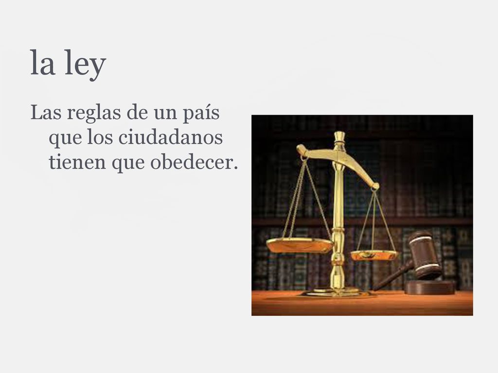 la ley Las reglas de un país que los ciudadanos tienen que obedecer.